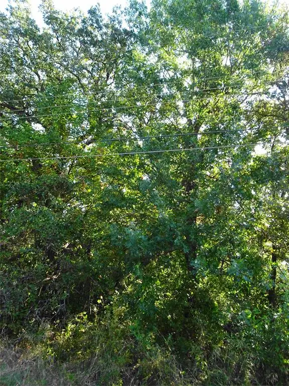 232 Softwind, Gun Barrel City, TX 75156 - Image #2