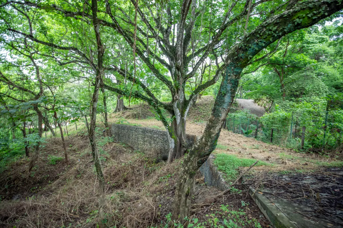 Address Withheld By Seller, Firestone, CO 80504 - Image #1