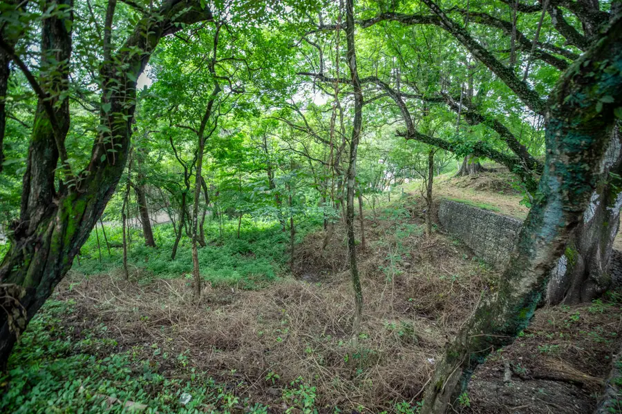 Address Withheld By Seller, Firestone, CO 80504 - Image #2