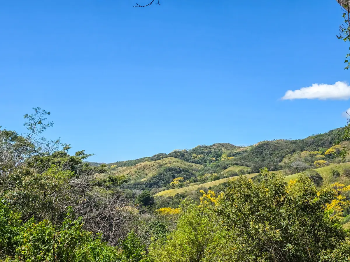 Watermill, Fruitland, VA 20132 - #1