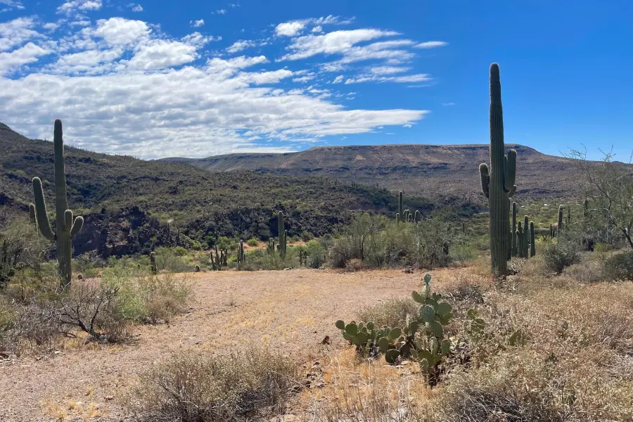 0 S Tillys Trail, Black Canyon City, AZ 85324 - #2