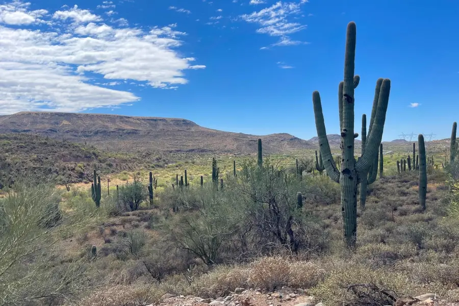 0 S Tillys Trail, Black Canyon City, AZ 85324 - #3