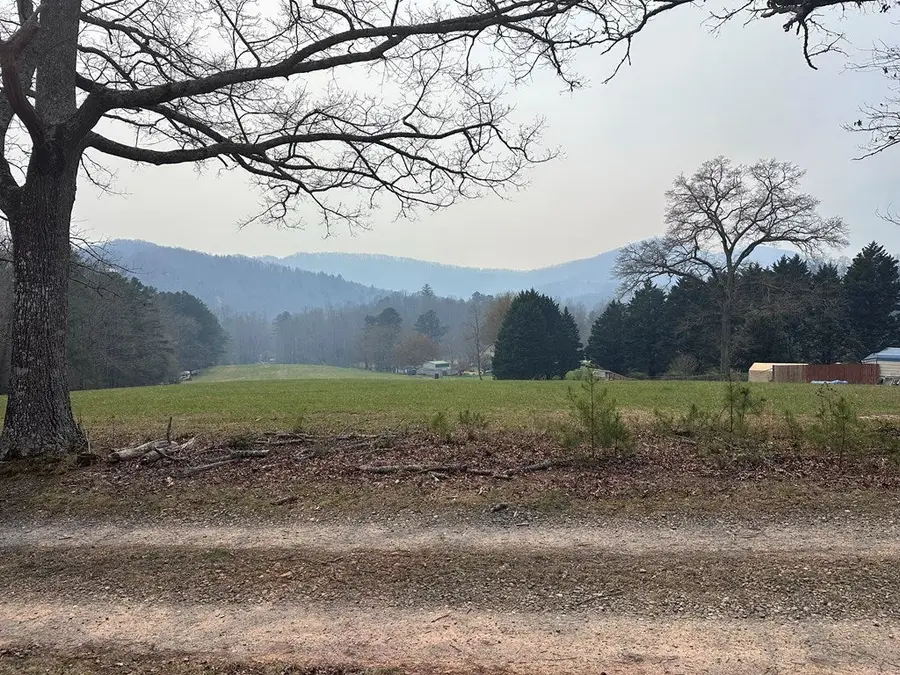 LOT 3&4 Pine Log Church Road, Brasstown, NC 28902 - #3