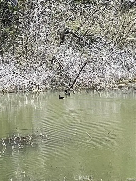 9650 Rocky Creek Road, Lower Lake, CA 95457