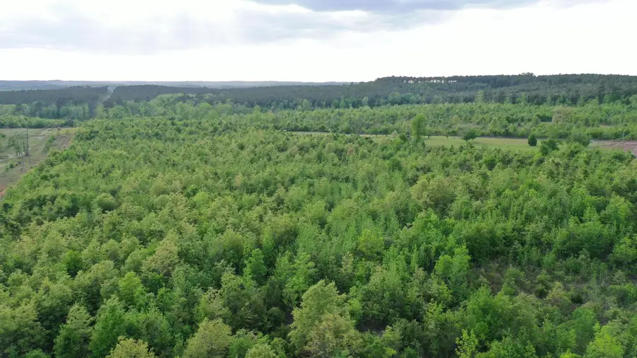 695 County Road 1463, Hughes Springs, TX 75656 - Image #2