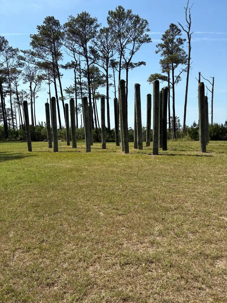 21302 Wise Point Ln, Onancock, VA 23417 - #1