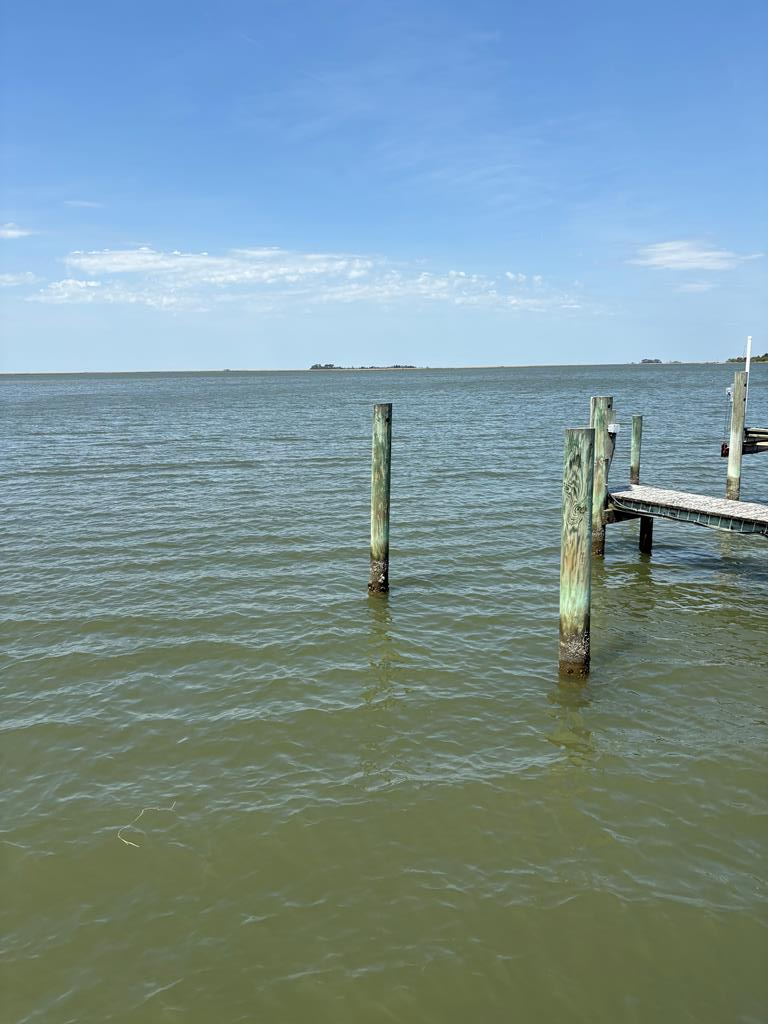 21302 Wise Point Ln, Onancock, VA 23417 - #3