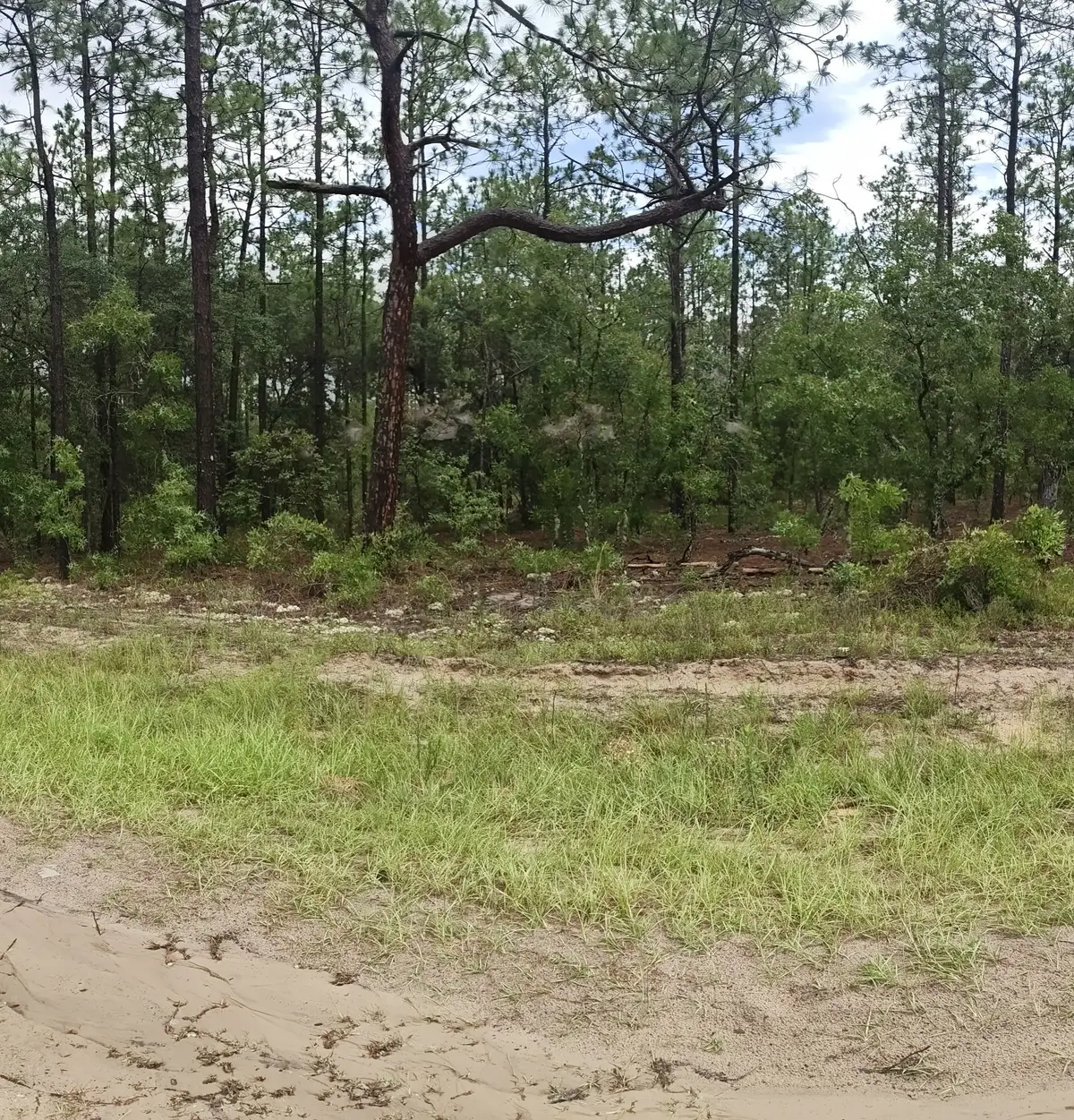 00 SW 69 Place, Ocala, FL 34481 - #1