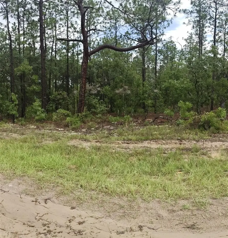 00 SW 69 Place, Ocala, FL 34481 - #3
