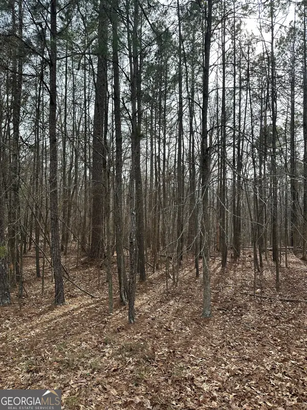 0 Tussahaw Point Drive, Jackson, GA 30233