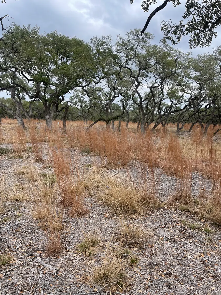 764 Roessler Way, Bulverde, TX 78163 - Image #3