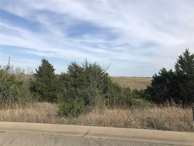 1139 E St Andrews Circle, Cushing, OK 74023-0000 - #1