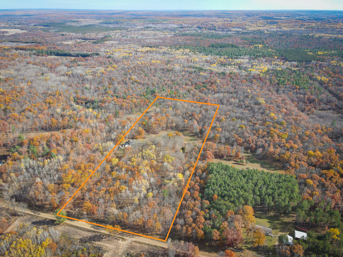 12278 N Willow Road, Bitely, MI 49309 - Image #1