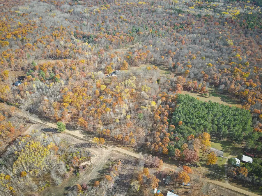 12278 N Willow Road, Bitely, MI 49309 - Image #3