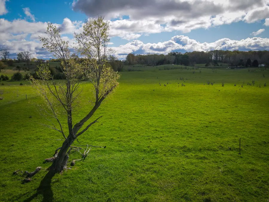 V/L S 230th Avenue, Reed City, MI 49677 - #3