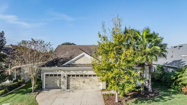 8429 Eagle Brook Drive, LAND O LAKES, FL 34638