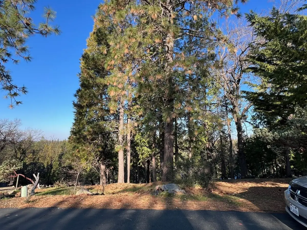 1238 Canyon Ridge Court, Murphys, CA 95247 - Image #1