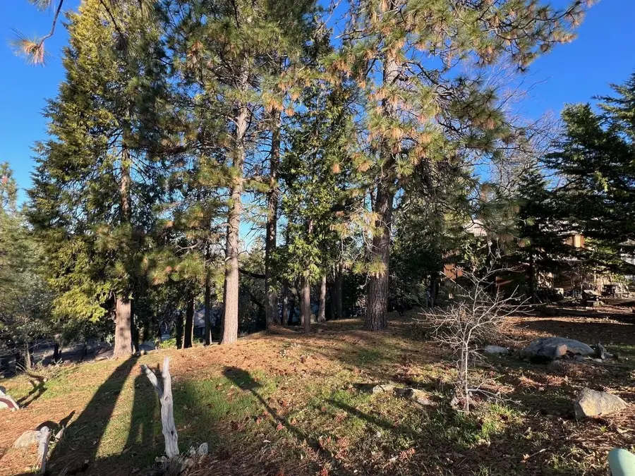 1238 Canyon Ridge Court, Murphys, CA 95247 - Image #3