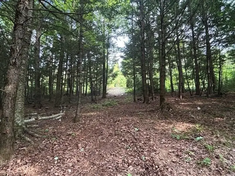 Lot #8 Kolm Road, Garland, ME 04939 - #1