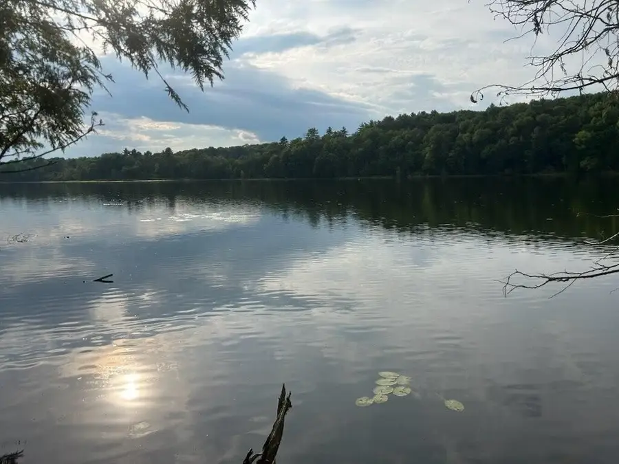 Lot #8 Kolm Road, Garland, ME 04939 - #2