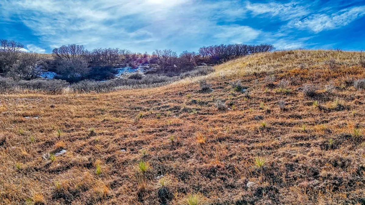 Michener Drive, Colorado Springs, CO 80907 - Image #1