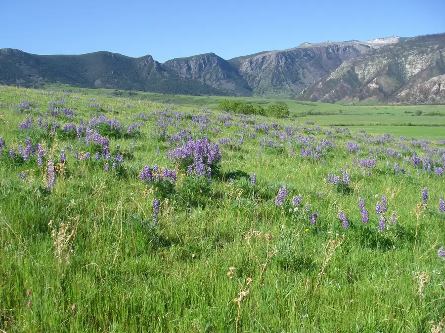 57 Canyon Ranch Road, Big Horn, WY 82833 - Image #2