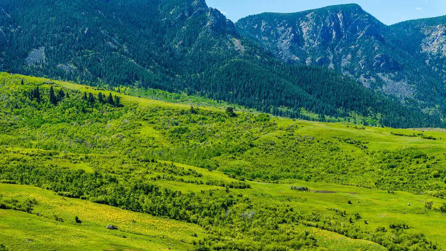 57 Canyon Ranch Road, Big Horn, WY 82833 - Image #3