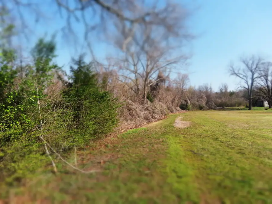 0 N Highway 125 Road N, Toone, TN 38381 - #3