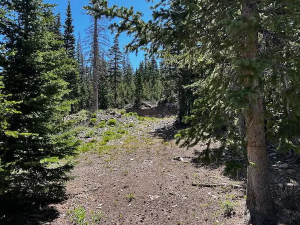 115 S Olympic Dr, Brian Head, UT 84719