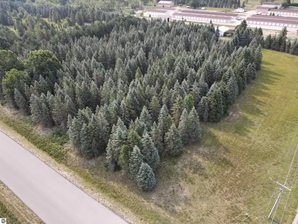 Parcels A & B Danbury RD, Kingsley, MI 49649