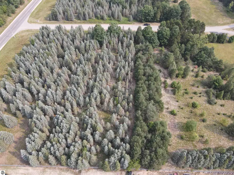 Parcels A & B Danbury RD, Kingsley, MI 49649 - #3
