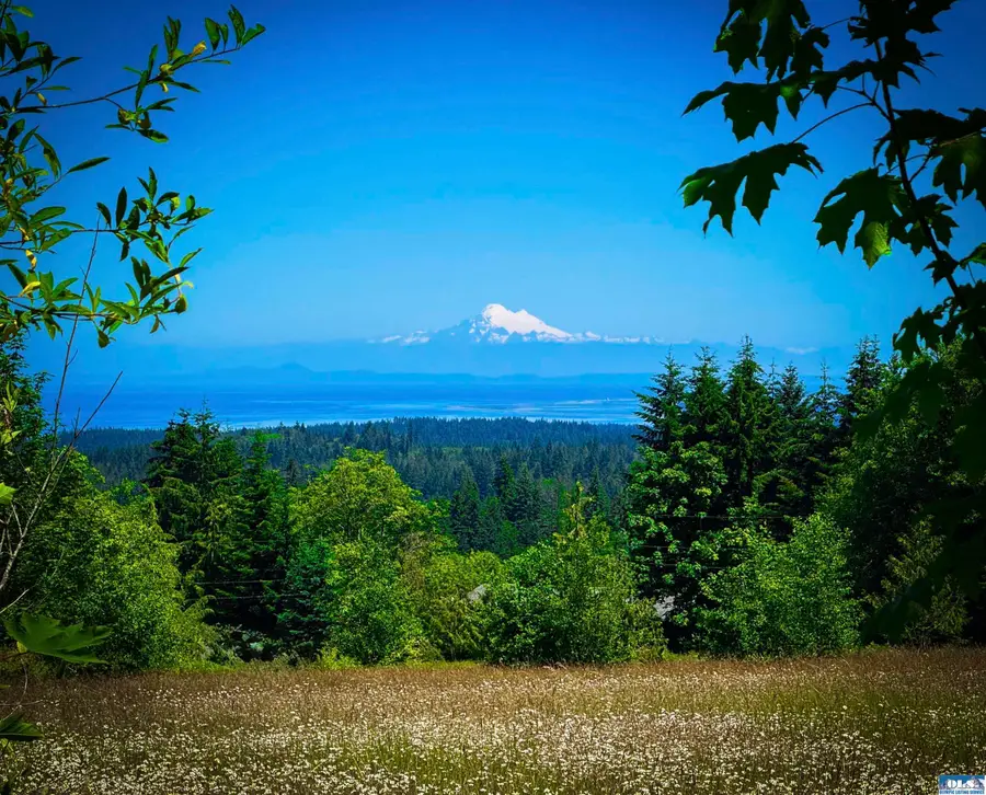 404 Black Bear Trail, Port Angeles, WA 98362 - #2