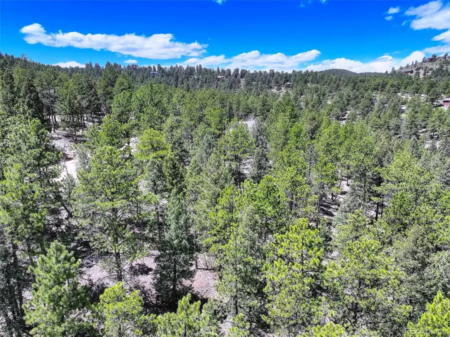 456 Lo Meadow Ln, Bailey, CO 80421 - Image #2