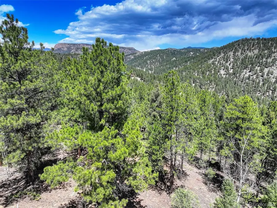 456 Lo Meadow Ln, Bailey, CO 80421 - Image #3