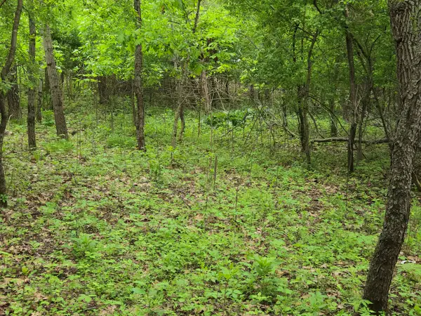 Lot Oxbow Trail, Princeton, WI 54968