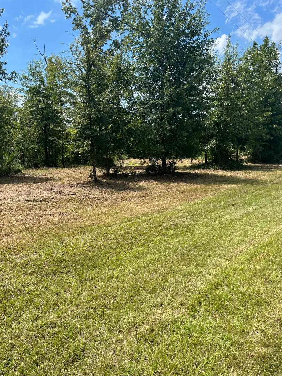 160 Branchwood Drive, Livingston, TX 77351 - #3