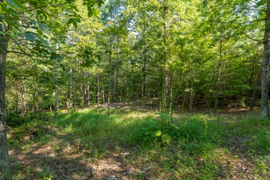 3860-2 Gilbert Station Rd #lot 2, Barboursville, VA 22923 - Image #3