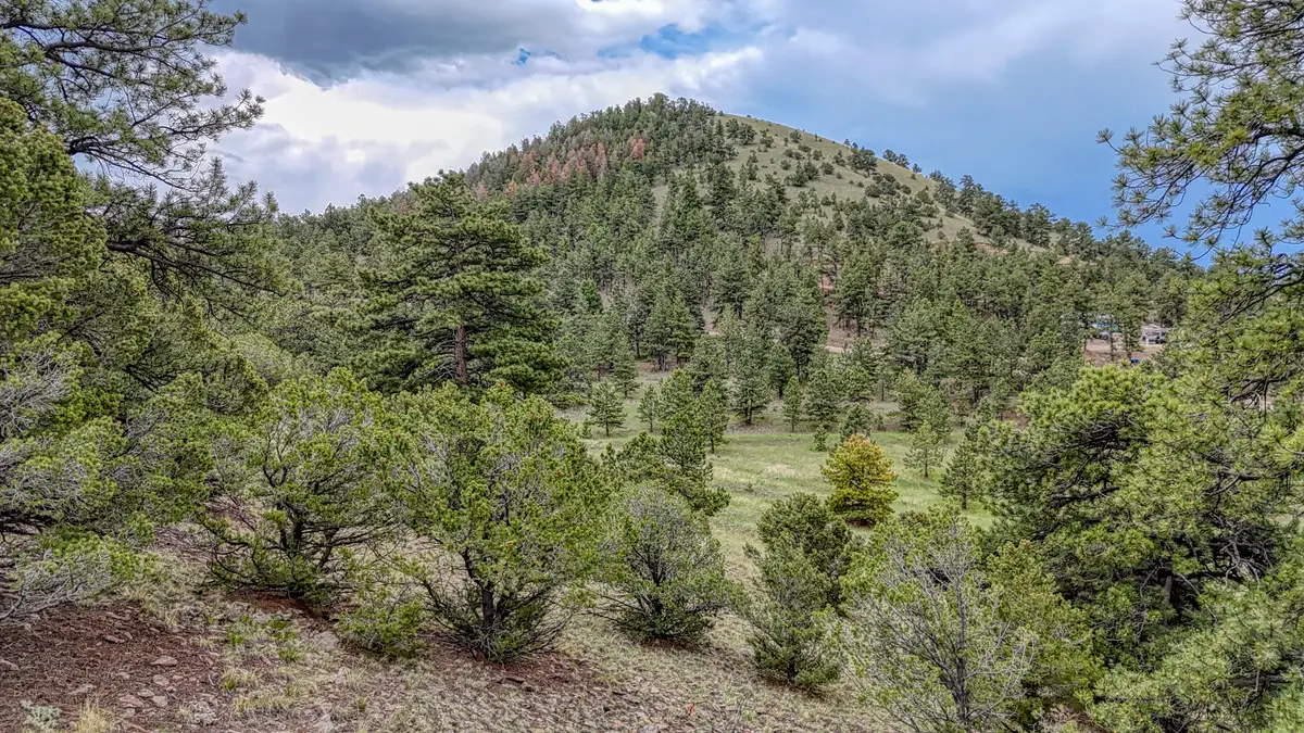 44 Honeysuckle Terrace, Westcliffe, CO 81252 - #1