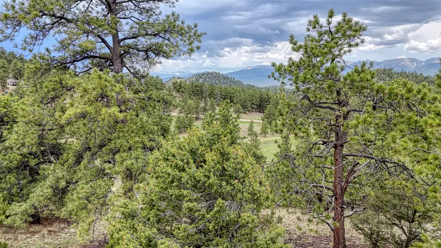 44 Honeysuckle Terrace, Westcliffe, CO 81252 - #2