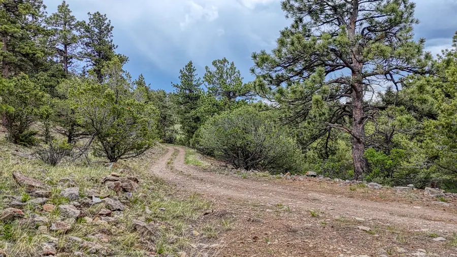 44 Honeysuckle Terrace, Westcliffe, CO 81252 - #3
