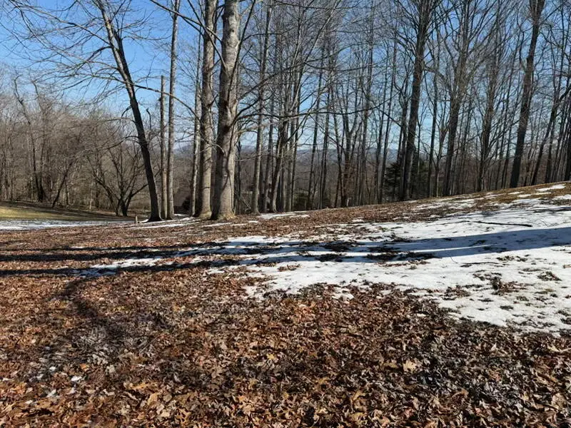 000  Osborne Road, Pineville, KY 40977 - #2