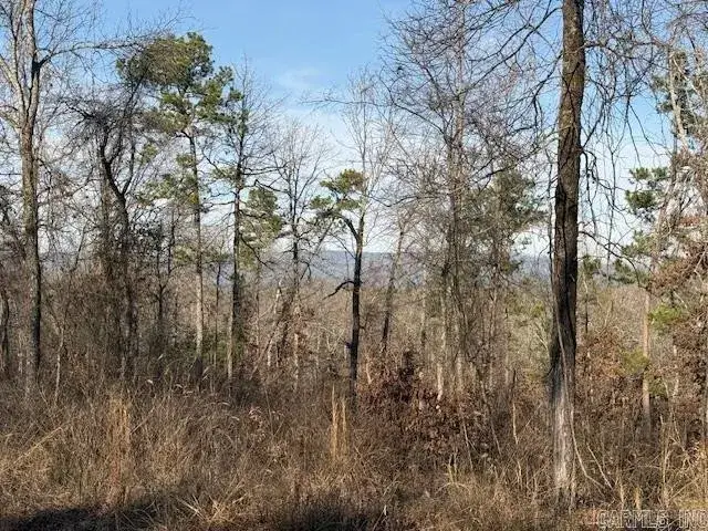 Address Withheld By Seller, Dover, AR 72837 - #2
