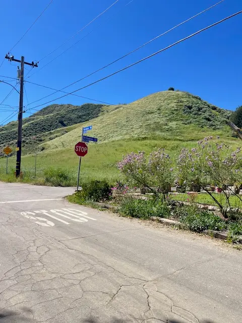 0 Paradise Rd, Val Verde, CA 91384 - #2
