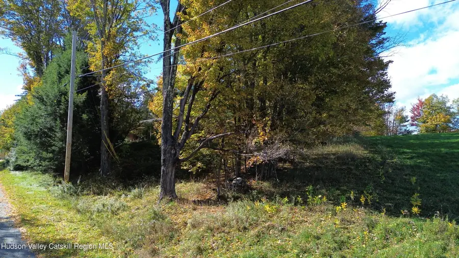 0 Off Conifer Lake Road, Jewett, NY 12444 - #3