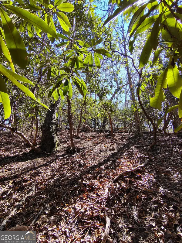 0 Ivy Ridge Way #LOT 6, Clarkesville, GA 30523