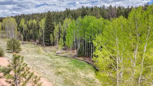 42 Rabbit Circle, Florissant, CO 80816