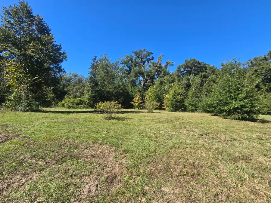 1562 NE 173rd Ave, Old Town, FL 32680 - #2