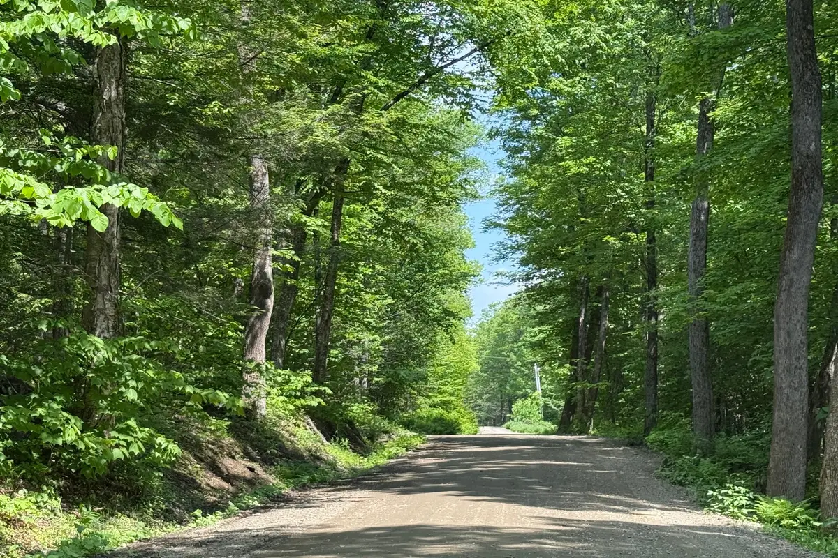 251 Phillips Hill Road, Halifax, VT 05358 - Image #1