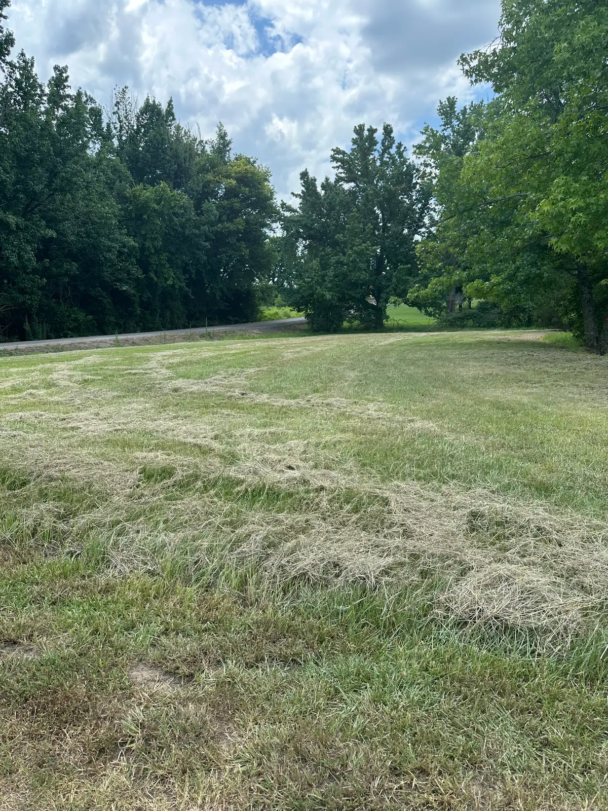 804 NW 5th, Atkins, AR 72823 - #1
