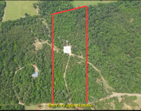 TBD 16 +/- AC Vz County Road 4814, Ben Wheeler, TX 75754